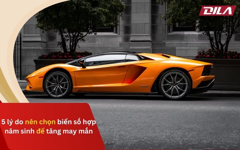 5 Lý Do Nên Chọn Biển Số Hợp Năm Sinh Để Tăng May Mắn