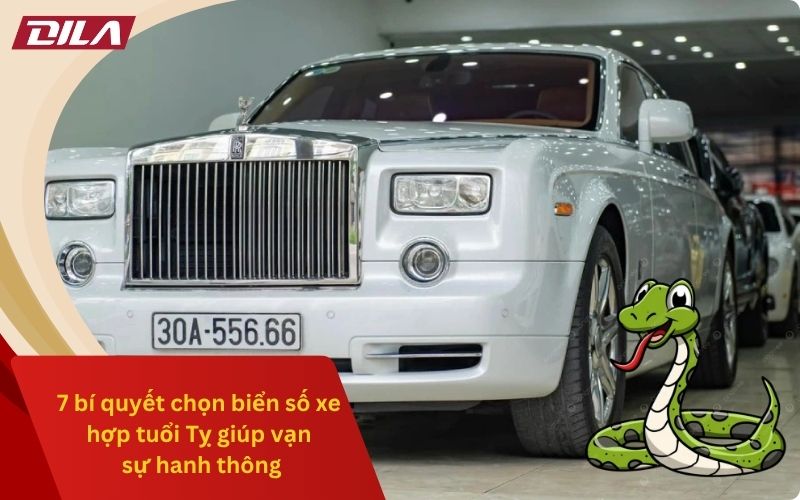 7 bí quyết chọn biển số xe hợp tuổi Tỵ giúp vạn sự hanh thông