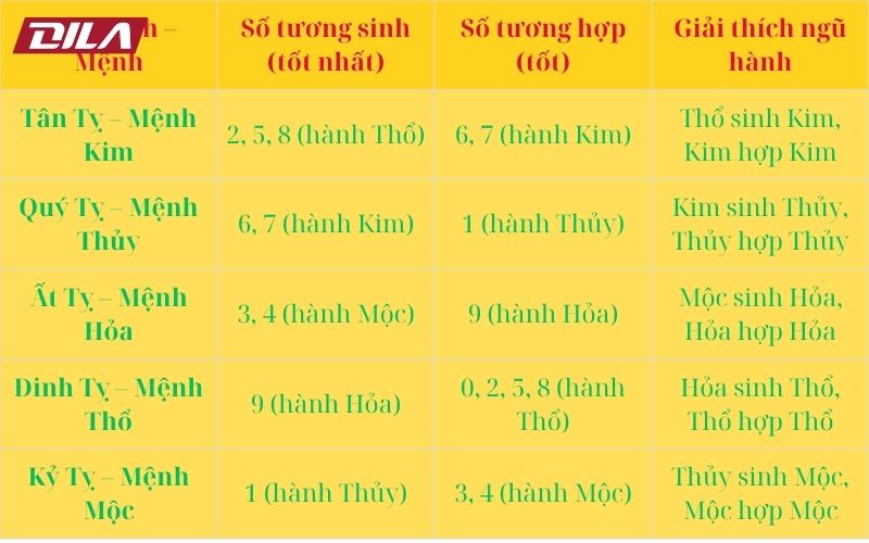 7 bí quyết chọn biển số xe hợp tuổi Tỵ giúp vạn sự hanh thông