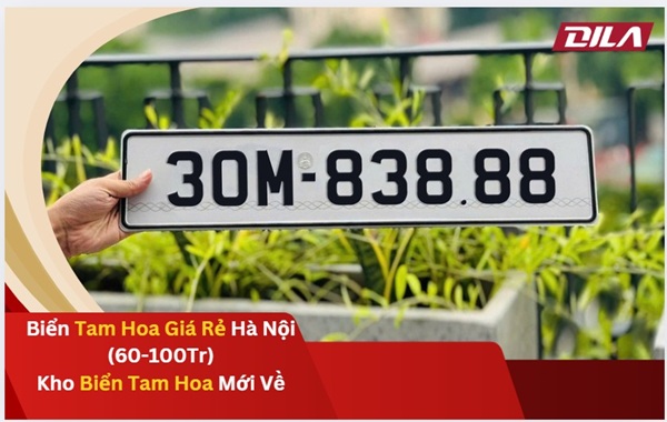 Biển Tam Hoa Giá Rẻ Hà Nội (60-100Tr) Kho Biển Tam Hoa Mới Về BienDila.com