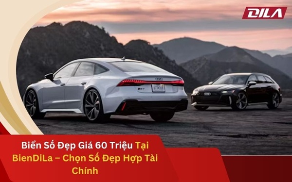 Biển Số Đẹp Giá 60 Triệu Tại BienDiLa – Chọn Số Đẹp Hợp Tài Chính