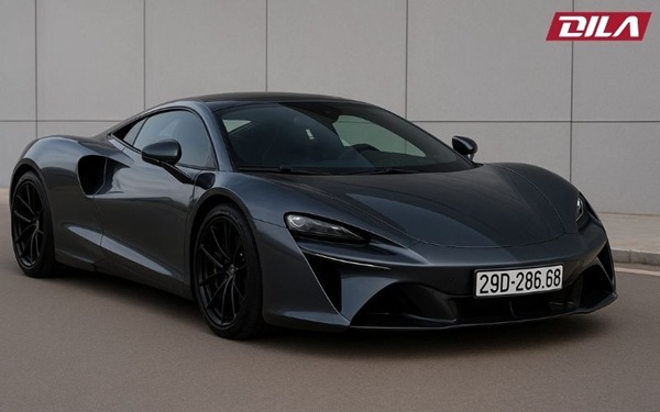 Biển Số Gánh Có Đẹp Không? Giải Mã Ý Nghĩa Theo Phong Thủy