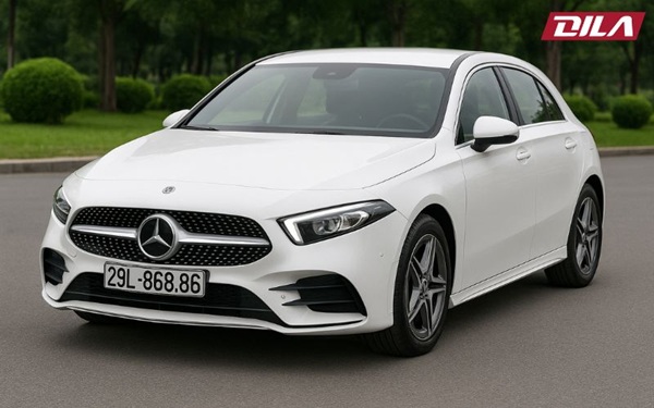 Biển Số Phát Lộc 86: Vì Sao Được Nhiều Người Săn Đón?