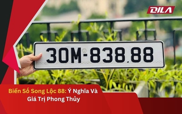 Biển Số Song Phát 88: Ý Nghĩa Và Giá Trị Phong Thủy