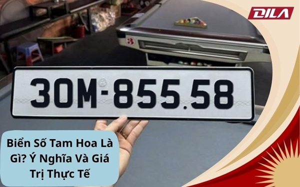 Biển Số Tam Hoa Là Gì? Ý Nghĩa Và Giá Trị Thực Tế