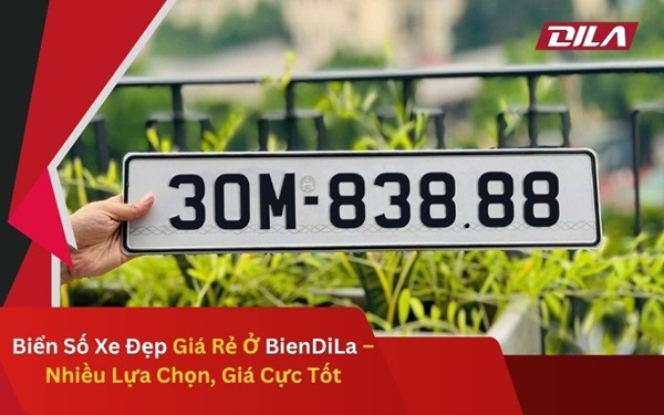Biển Số Xe Đẹp Giá Rẻ Ở BienDiLa – Nhiều Lựa Chọn, Giá Cực Tốt