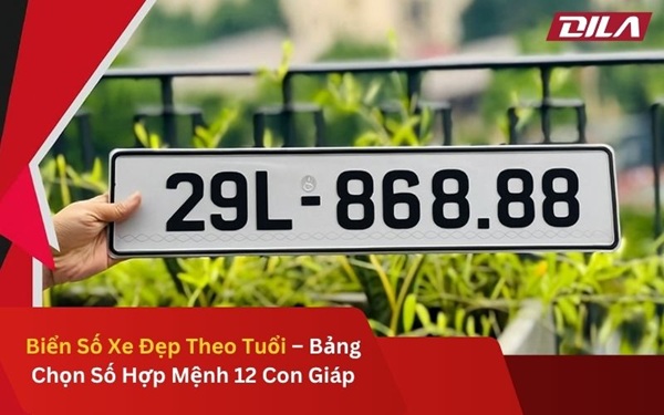 Biển Số Xe Đẹp Theo Tuổi – Bảng Chọn Số Hợp Mệnh 12 Con Giáp