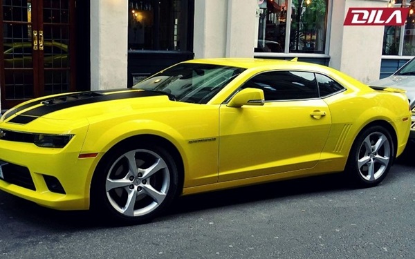 Chọn Biển Số Xe Hợp Mệnh Thổ: 5 Gợi Ý Chuẩn Xác