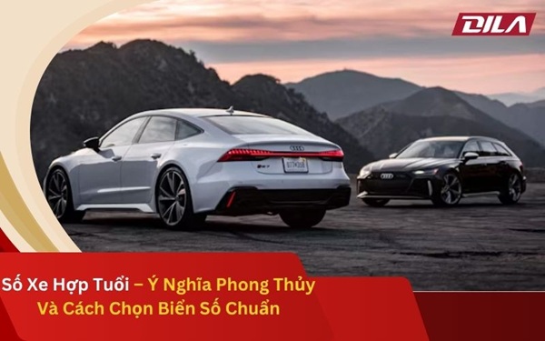 Số Xe Hợp Tuổi – Ý Nghĩa Phong Thủy Và Cách Chọn Biển Số Chuẩn